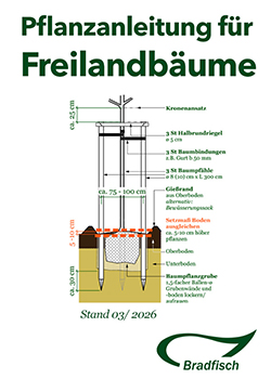 Pflanzanleitung fü Freilandbäume